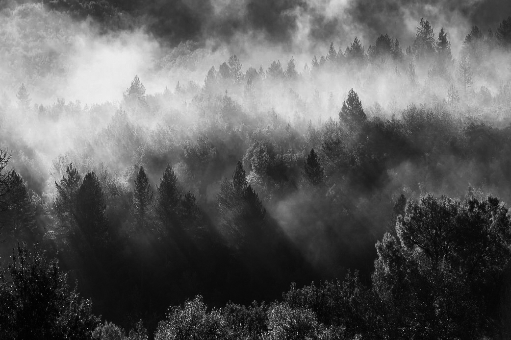 'Sehnsucht' offers a bright, gentle song as the cold winter nights approach.